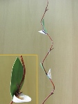 Ветка для декора крученая с цветами из ракушек /коричневая/